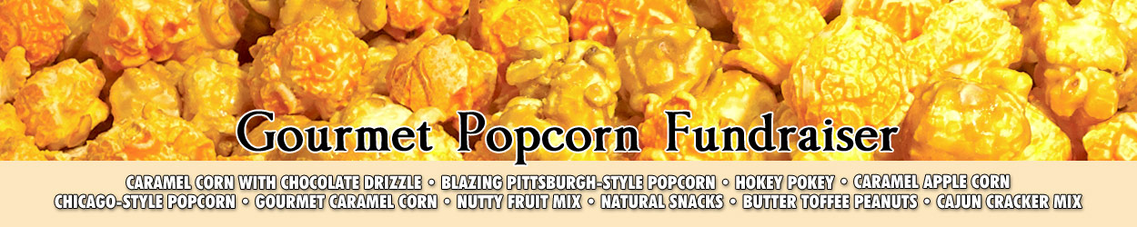 Gourmet Popcorn Promotional Banner